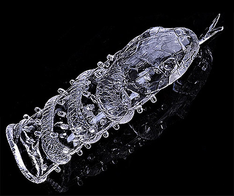 bao-cao-su-don-den-ran-3